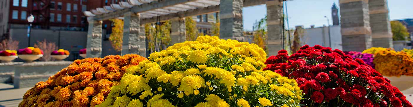 Banner for Contact Us